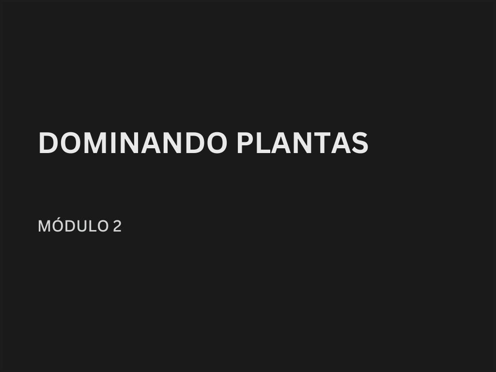 como se tornar mestre de obras